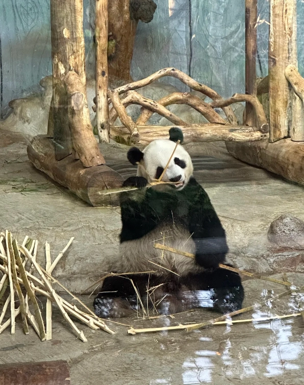 Hainan Tropical Wildlife Park price Hainan Tropical Wildlife Park price