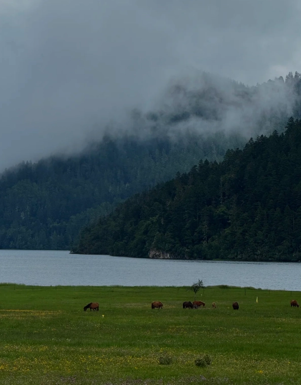 Yunnan national parks Yunnan national parks