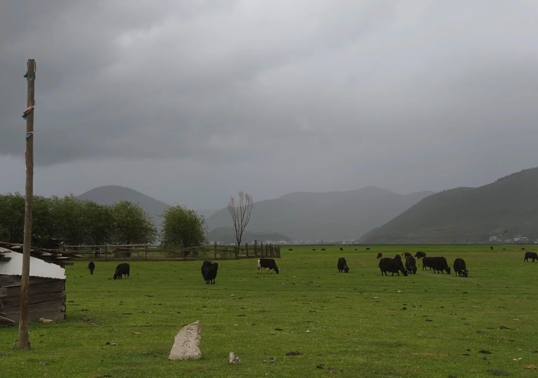 Pudacuo National Park Altitude Sickness: Surviving the High Plateau