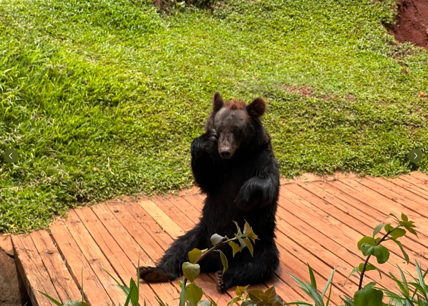 tropical wildlife park Hainan