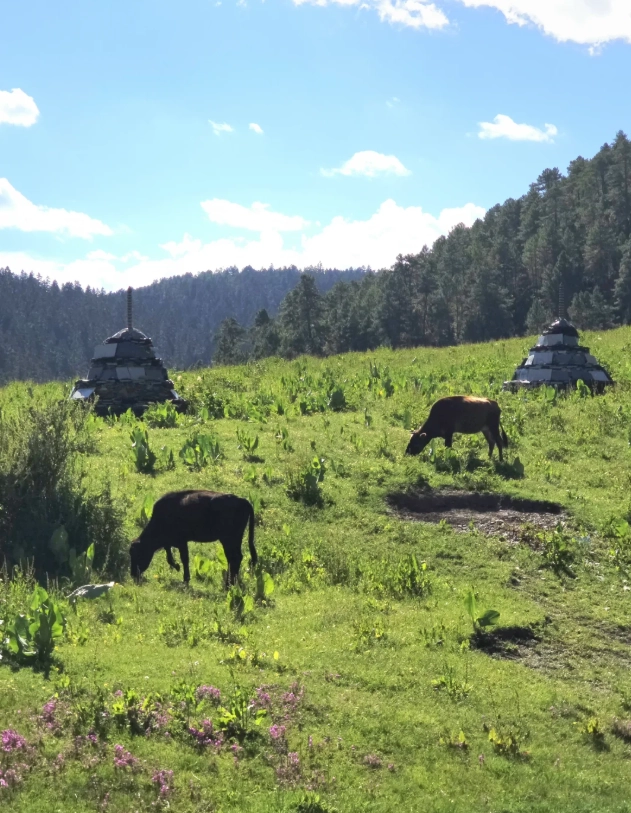 Pudacuo National Park tickets