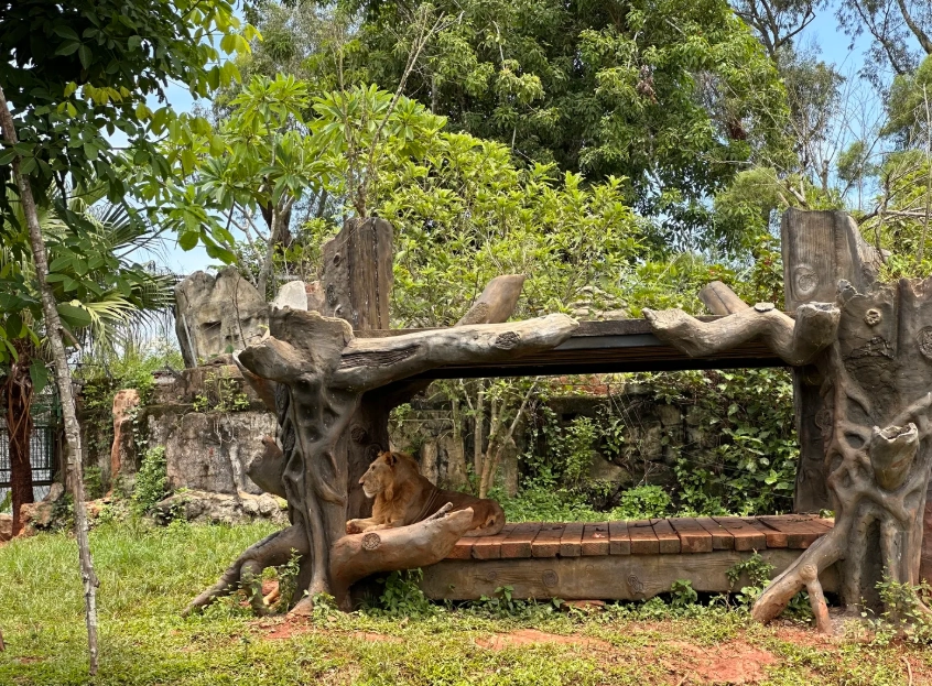 best spots for wildlife photography in Hainan