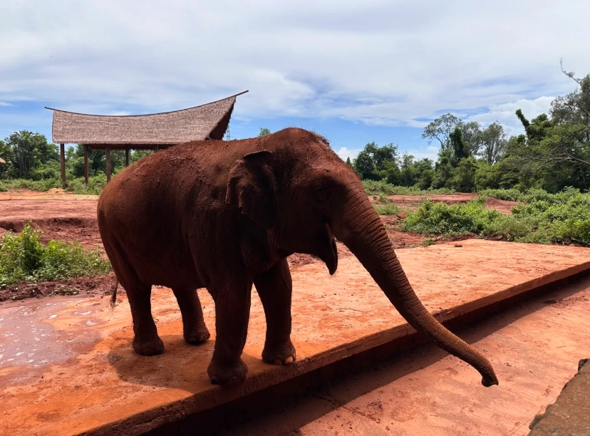 Hainan Wildlife Park photo tips