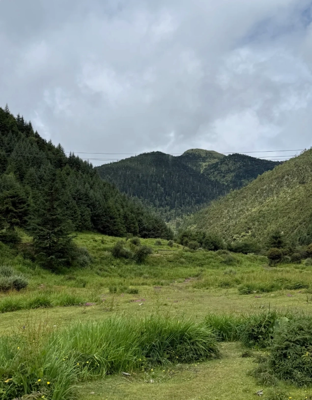 Pudacuo National Park Map: Navigate Trails & Avoid Crowds