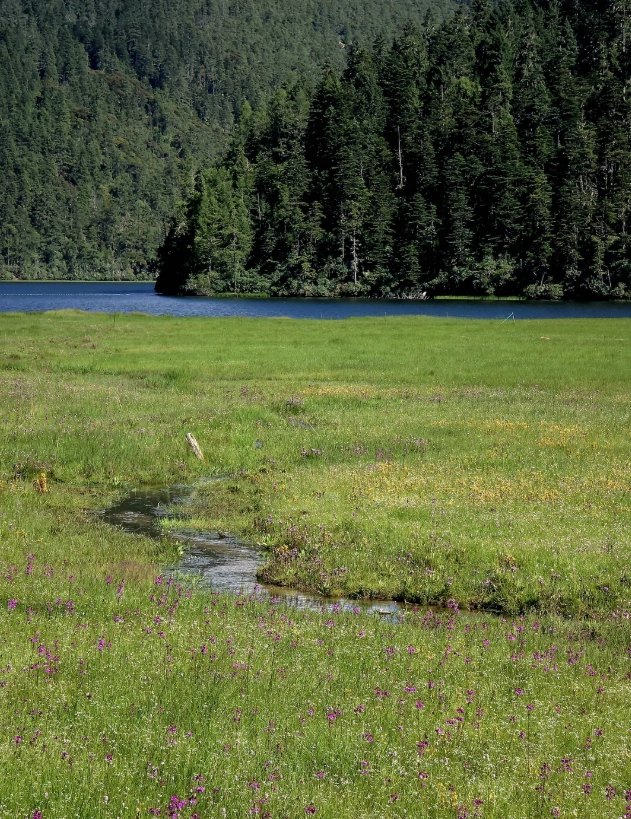 Pudacuo National Park best time to visit