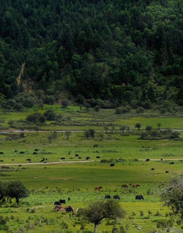 Pudacuo National Park tickets Pudacuo National Park tickets
