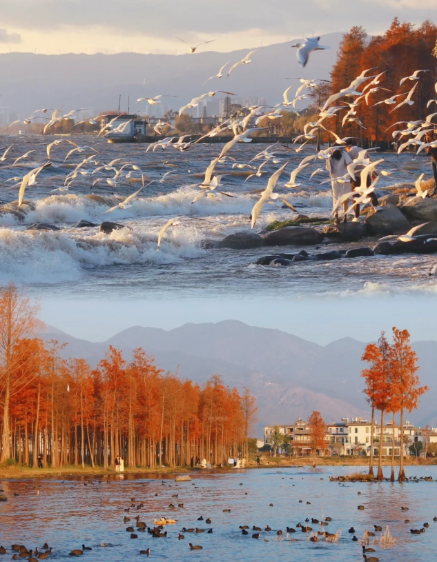 dali yunnan travel tips dali yunnan travel tips