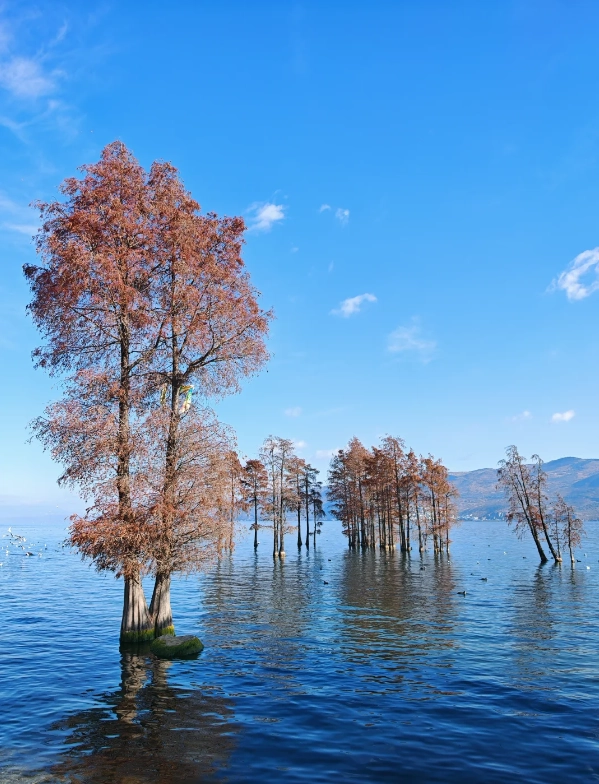 Dali Backpacking Guide: Trails, Hostels & Money-Saving Hacks