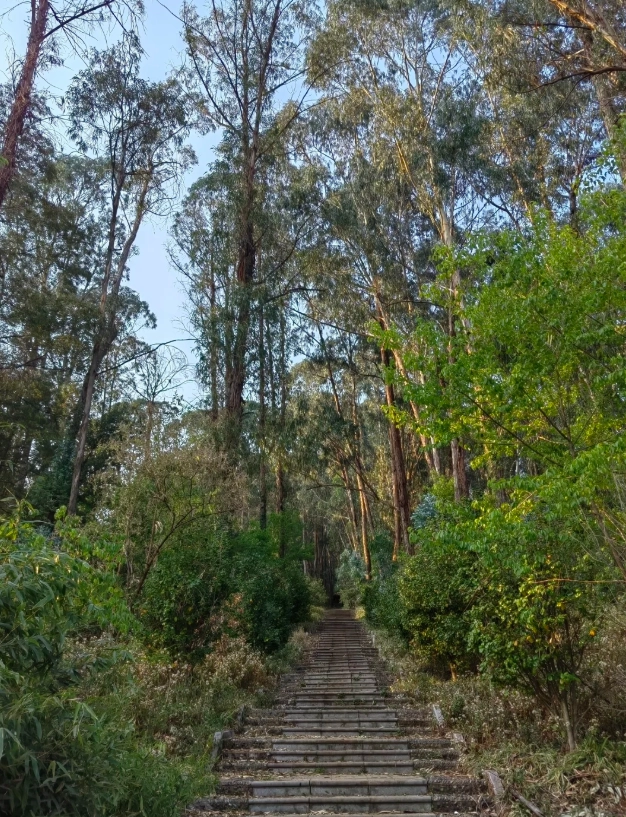 shenzhen family itinerary shenzhen family itinerary