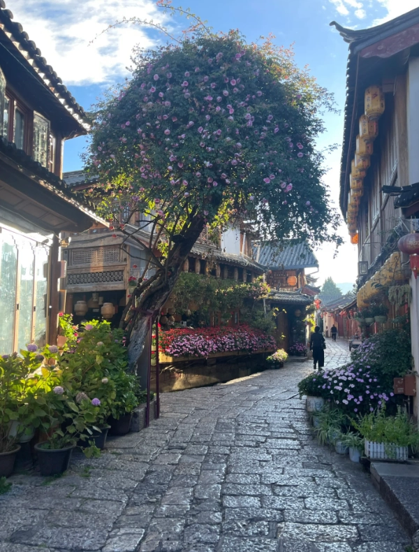Lijiang itinerary Lijiang itinerary