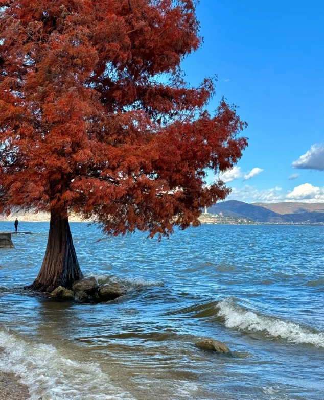 Dali winter travel guide Dali winter travel guide