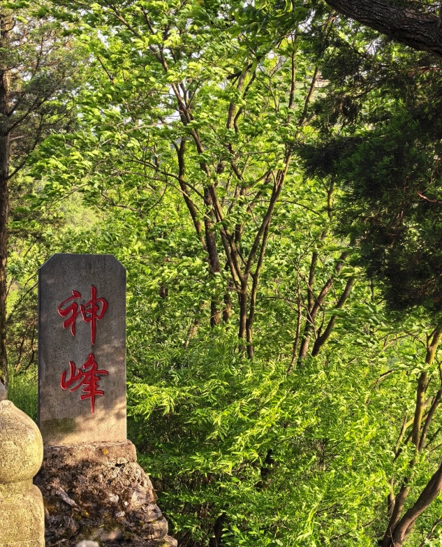 wudang mountains transportation wudang mountains transportation
