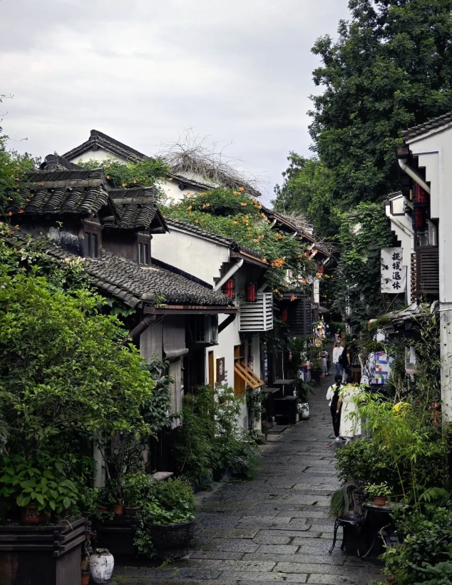 Hangzhou Autumn Itinerary: Skip Crowds & See Gold