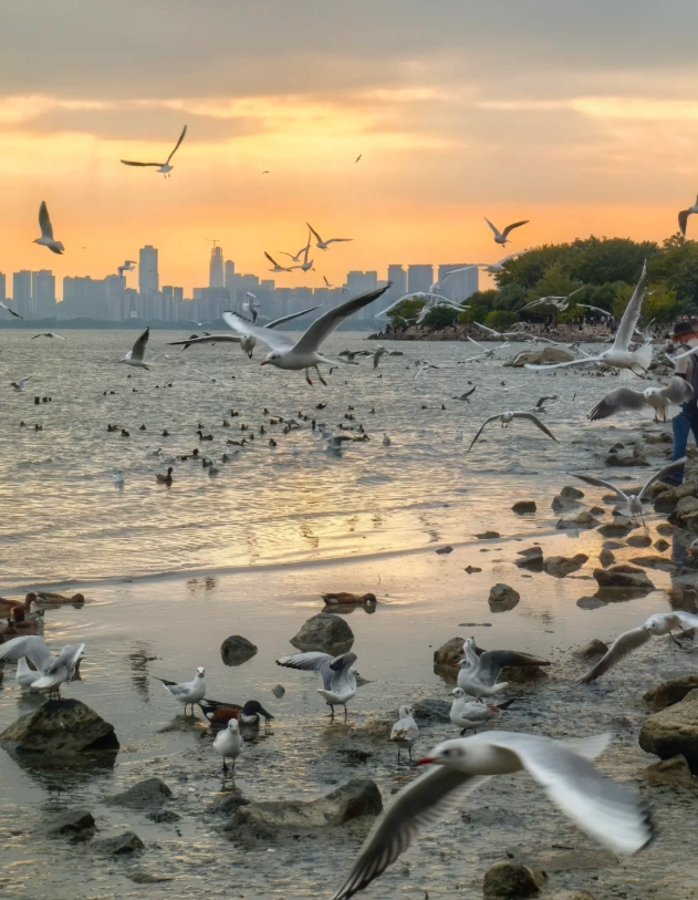 shenzhen attractions shenzhen attractions