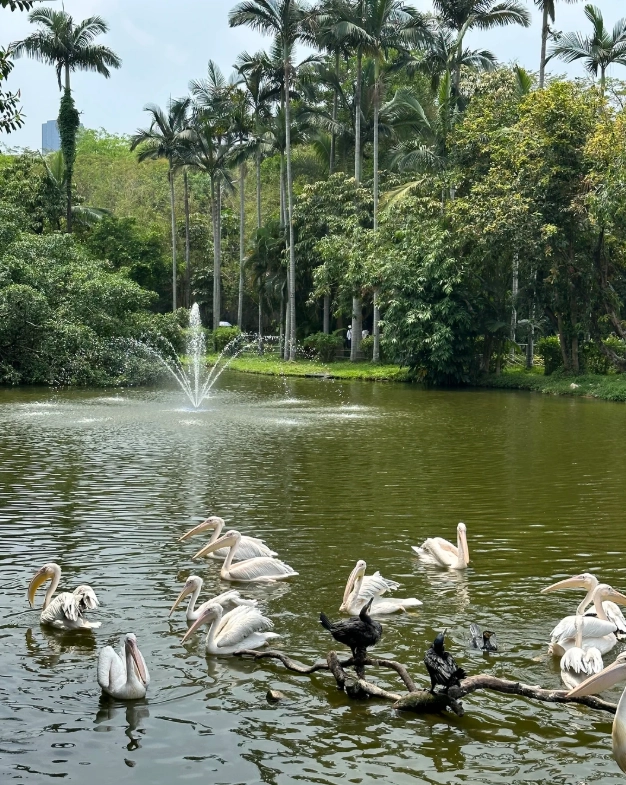 family vacation shenzhen family vacation shenzhen