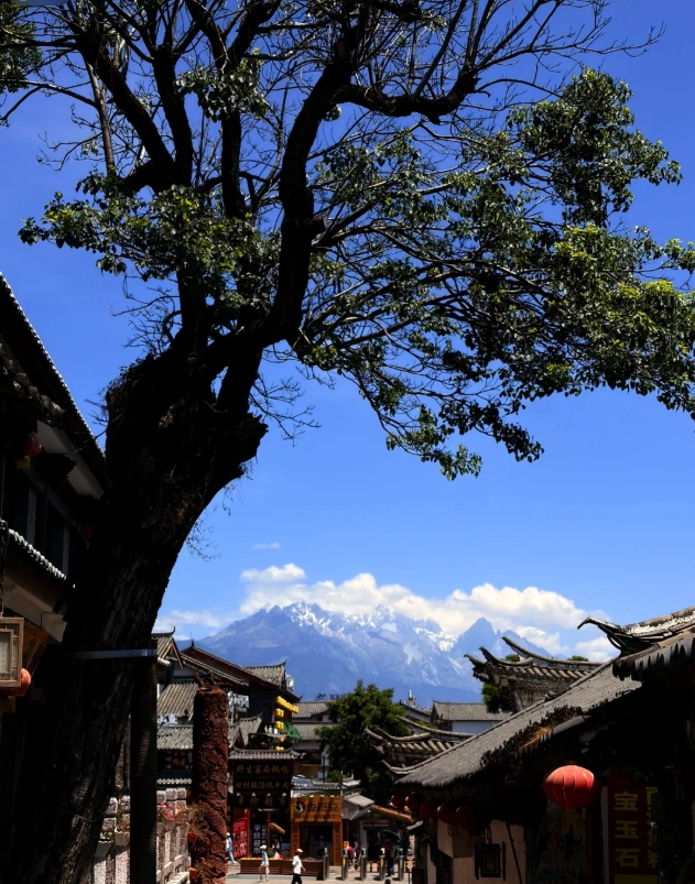 Lijiang 3-day itinerary Lijiang 3-day itinerary