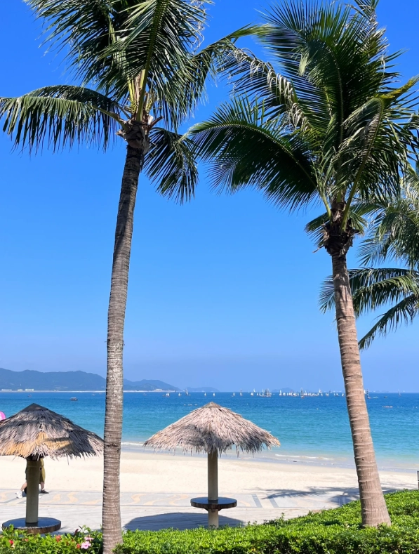 things to do in shenzhen in autumn