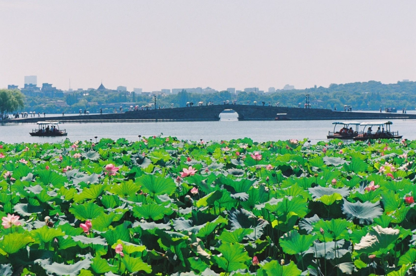 Zhejiang 240 Hour Visa Hangzhou: Skip the Tourist Traps
