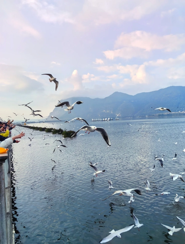 Kunming 240-hour visa-free: 10 Days, Zero Stress