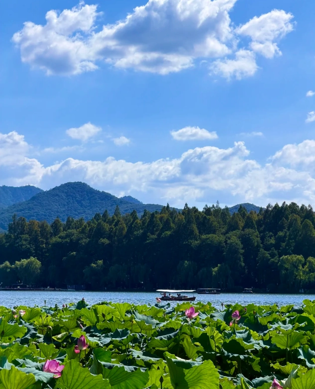 Hangzhou travel tips Hangzhou travel tips