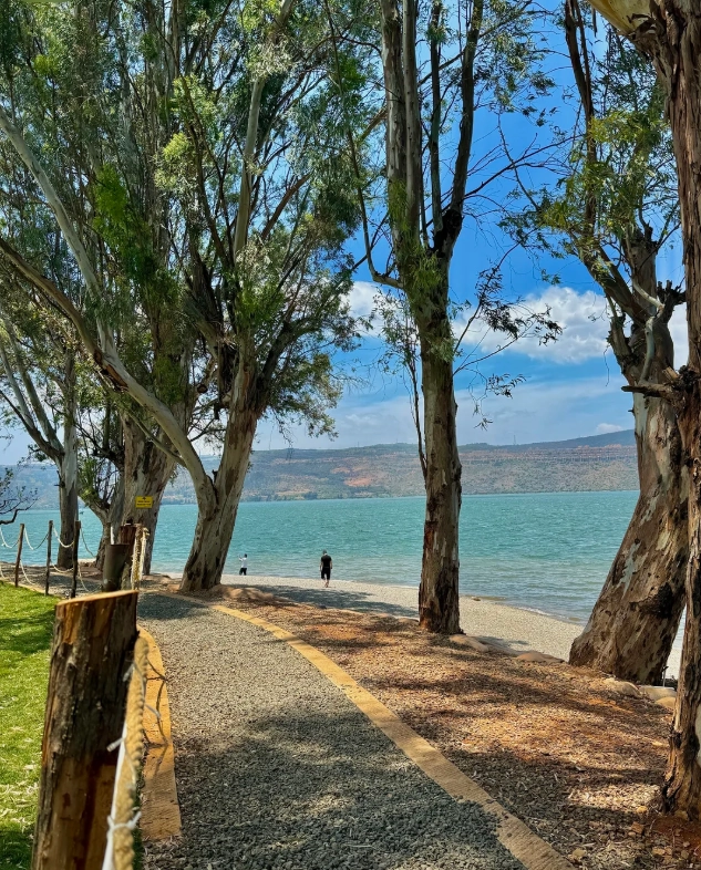 Kunming 5 day itinerary Kunming 5 day itinerary