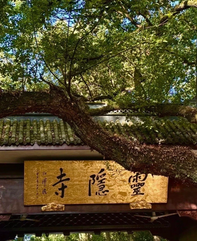 Hangzhou 2-Day Itinerary: West Lake & Local Secrets