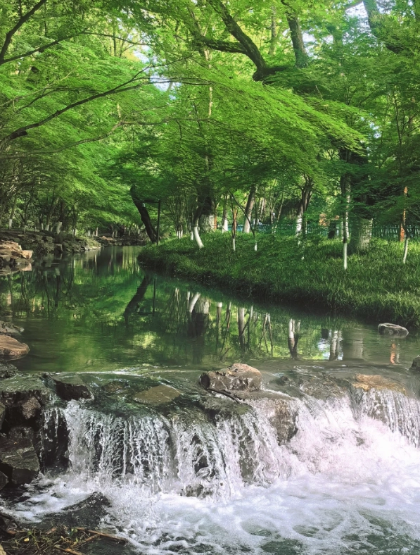 Hangzhou itinerary for foreigners Hangzhou itinerary for foreigners