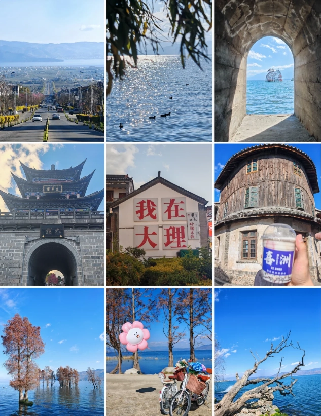 dali 240 hour visa free