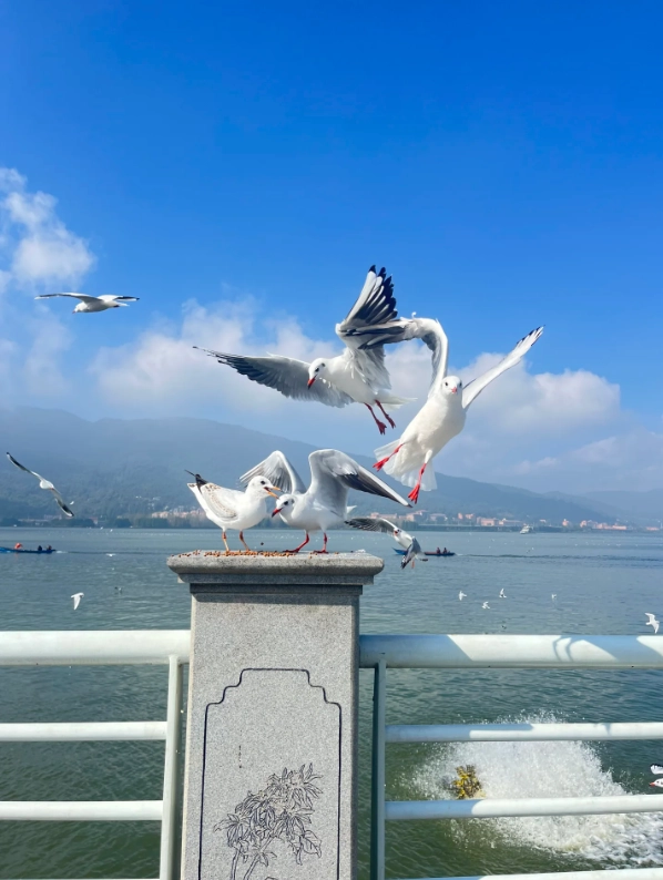 Is Kunming Safe for Tourists: What Nobody Tells You