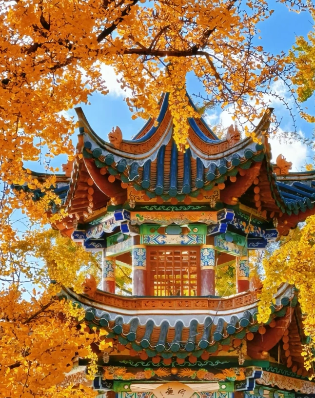 Kunming Autumn Itinerary: 5-Day Smart Route