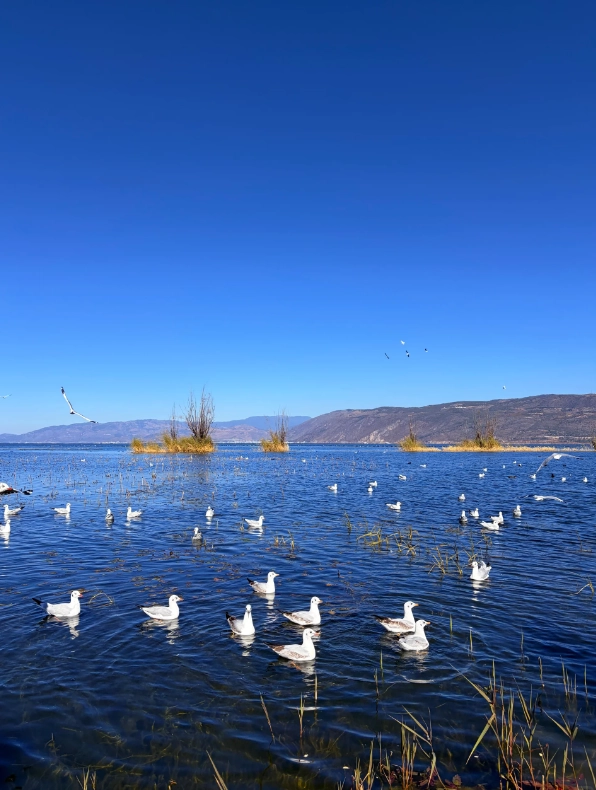 dali itinerary 10 days