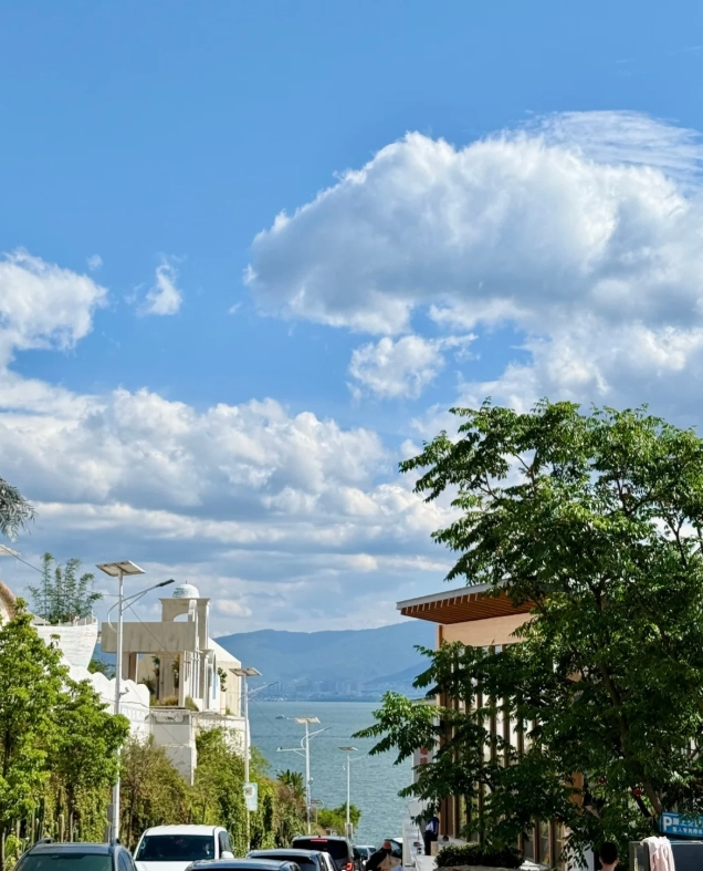 Dali one day tour