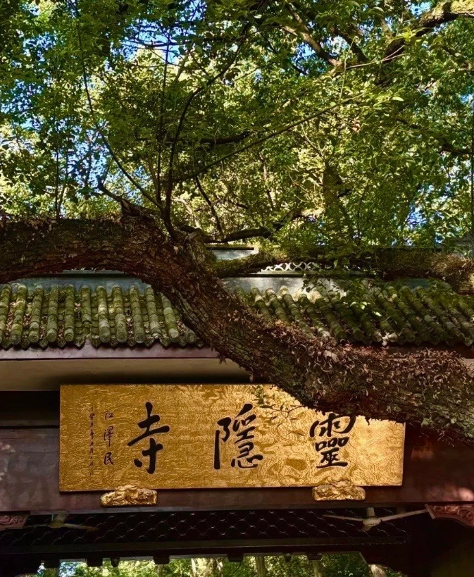 hangzhou spring itinerary hangzhou spring itinerary