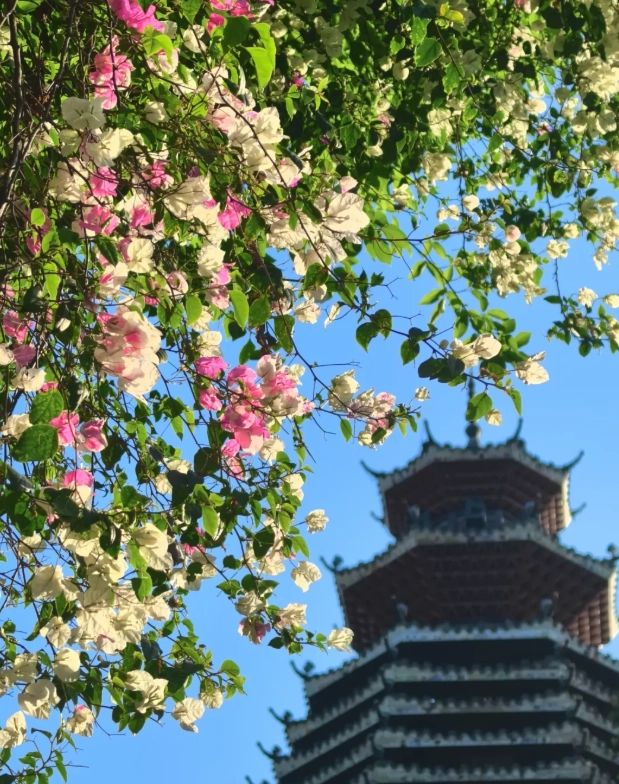 Shenzhen Travel Guide: Save Money, Skip Lines & Eat Well