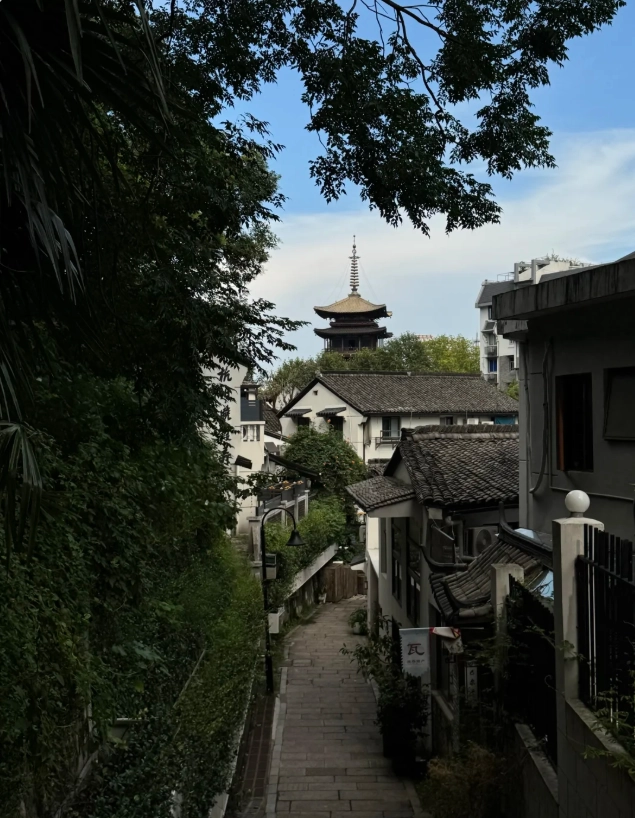 Hangzhou Custom Travel Planning: Insider Routes