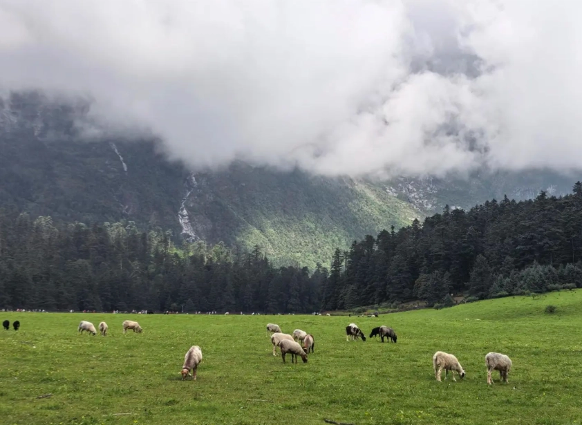 Best Places to Visit in Lijiang: A Local's Honest Guide