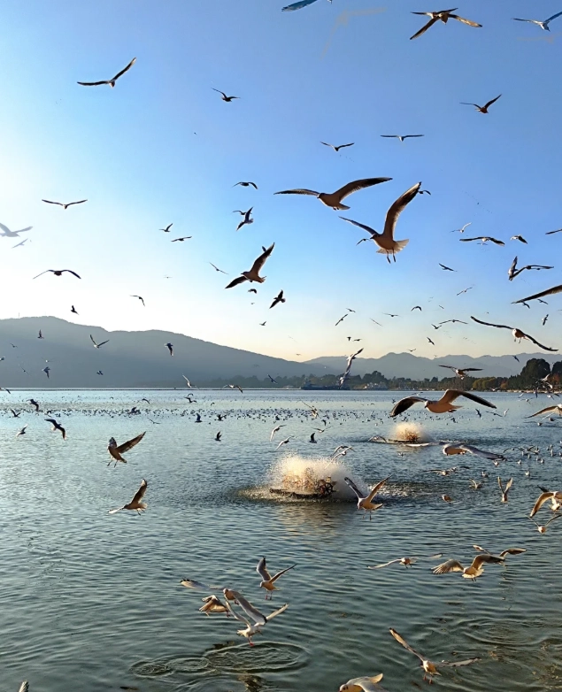 Kunming Airport Layover: How to See Kunming in 6 Hours