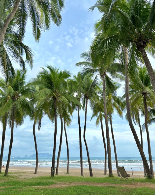 What to Do in Sanya for a Weekend: 48-Hour Itinerary & Insider Tips