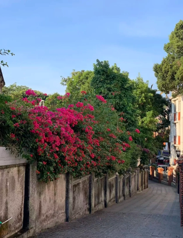 What to Do in Xiamen for a Weekend: 2-Day Itinerary