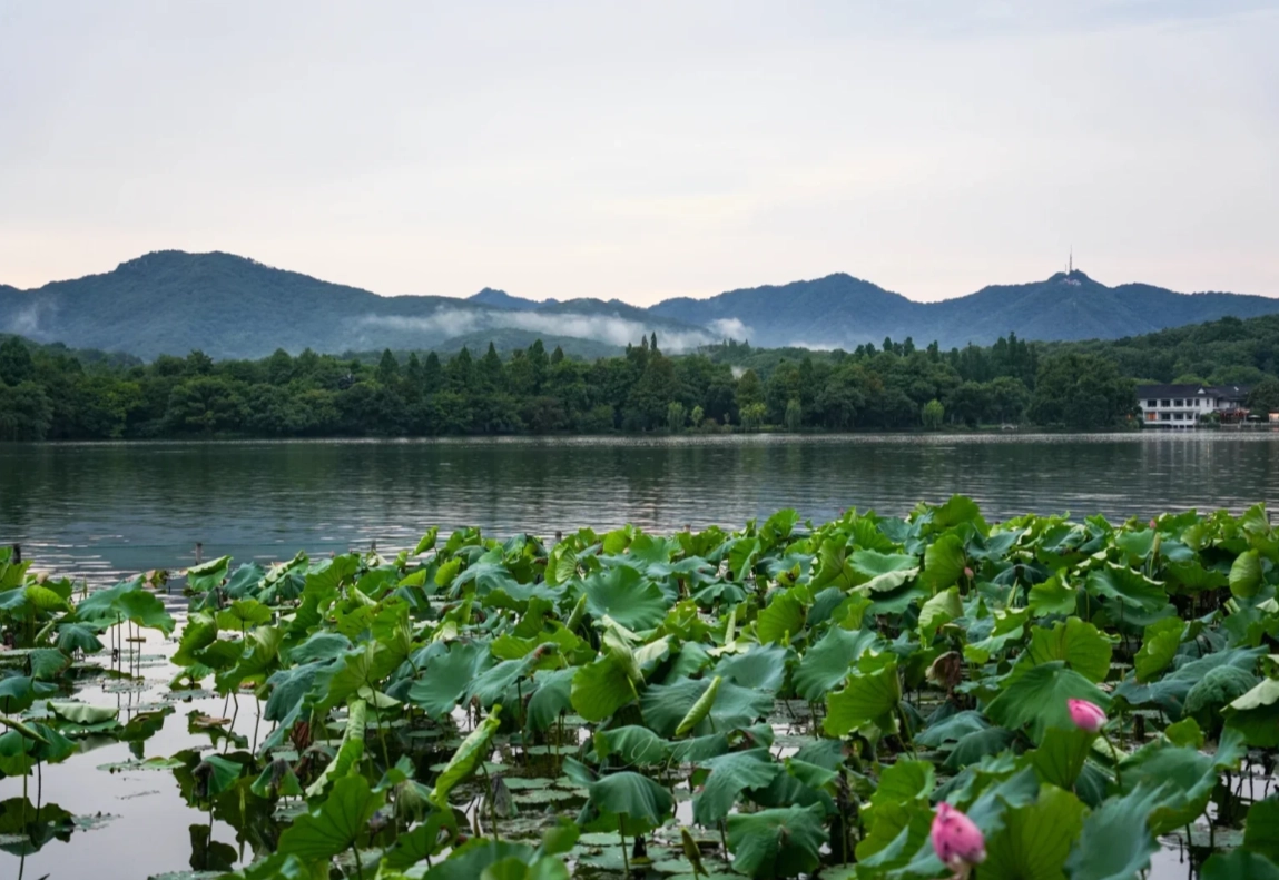 4 Days in Hangzhou: Local's Itinerary to See It All