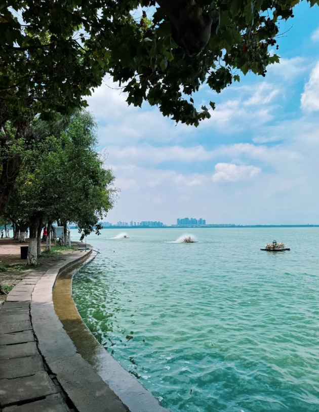 what to do in kunming during layover what to do in kunming during layover