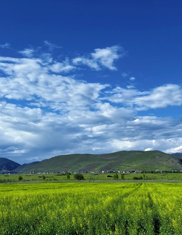things to do in shangri-la things to do in shangri-la