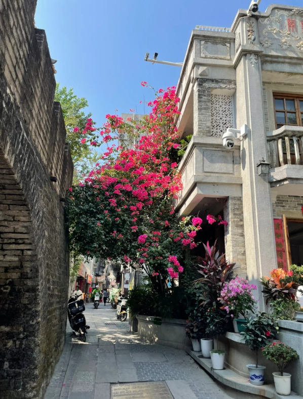 shenzhen 2 day itinerary