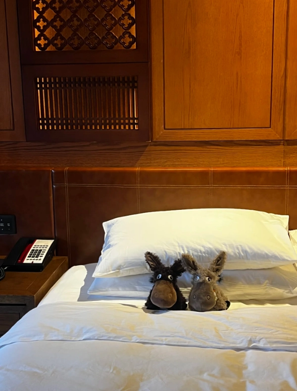best luxury hotels in Lijiang