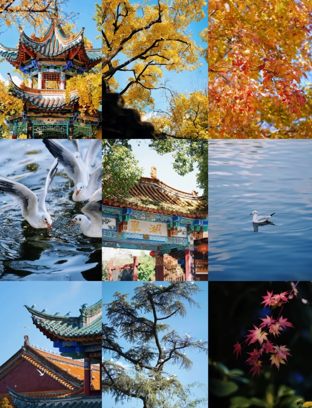 Kunming Winter Itinerary: 5 Days of Sun, Flowers & Local Food