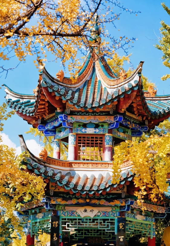 things to do in Kunming winter things to do in Kunming winter
