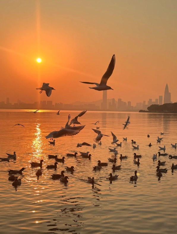 shenzhen attractions shenzhen attractions