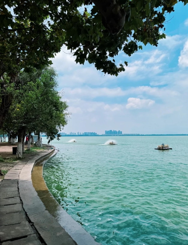 Kunming Custom Travel Planning: Visit Like a Local