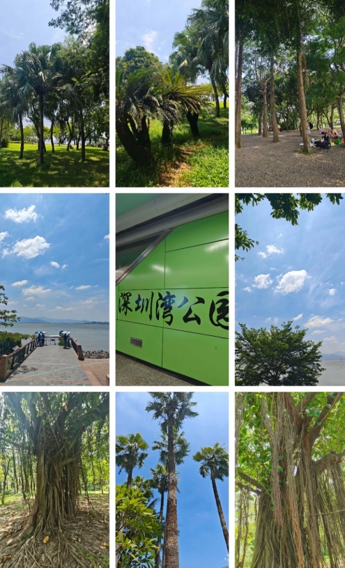 hangzhou layover tour hangzhou layover tour