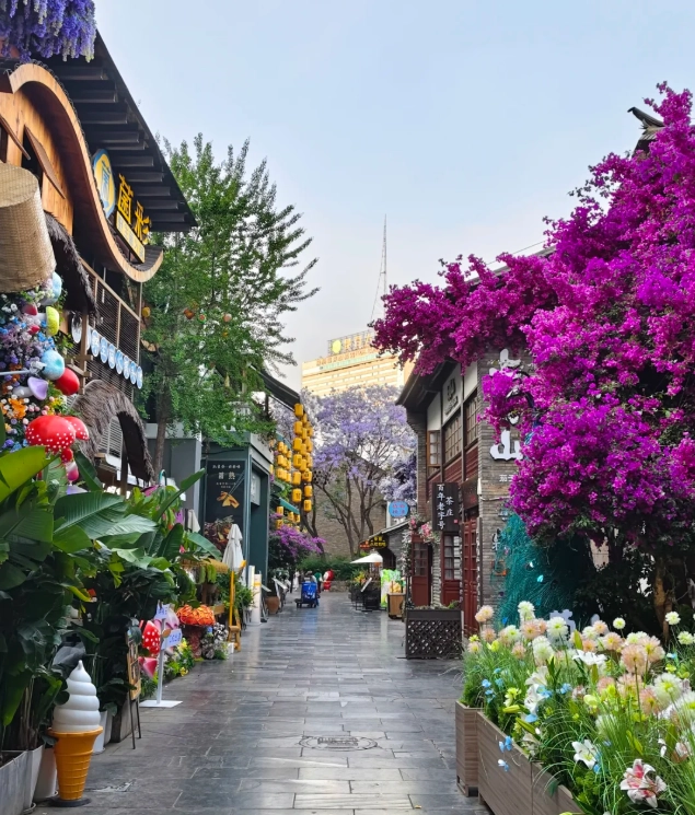 free places to visit in kunming free places to visit in kunming
